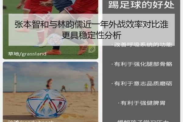 张本智和与林昀儒近一年外战效率对比谁更具稳定性分析